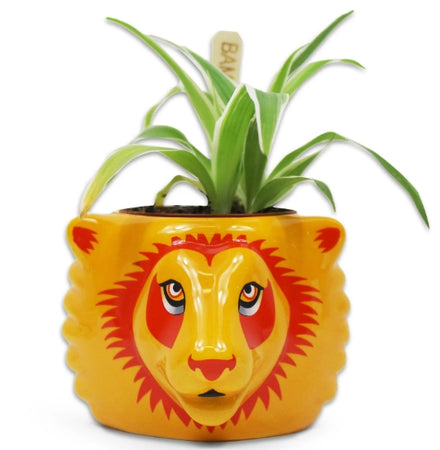 Plnthp04 - Harry Potter- Plant Pot - (harry Potter) Grifondoro Gadget