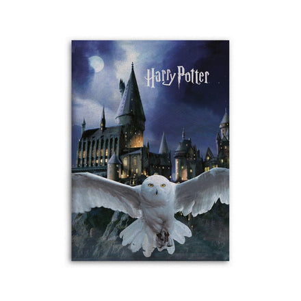 HARRY POTTER - Coperta in pile: "Hedwig" (100x140 cm)