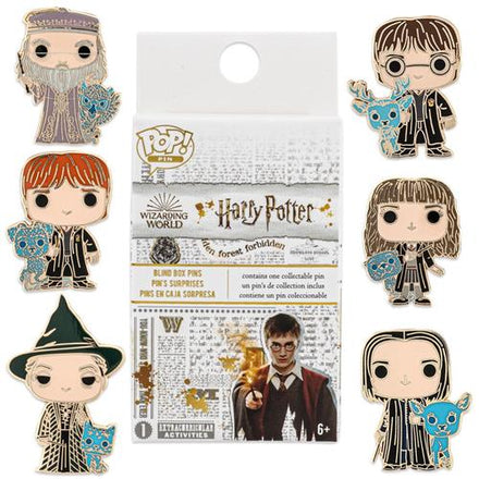 HARRY POTTER - BLIND BOX POP PIN ENAMEL - GROUP 12PC CASE PACK