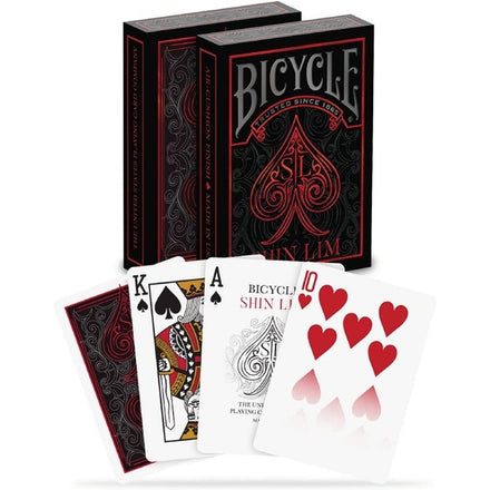 10032092 - Bicicleta - Shin Lim