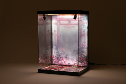Shinsai Acrylic Display Case With Lighting Inbina Rasethuhime Saki M Edition 39 Cm